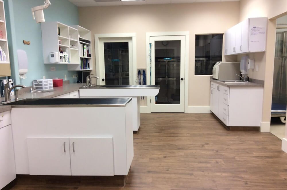 Tamberly Animal Hospital in Milton GA 4