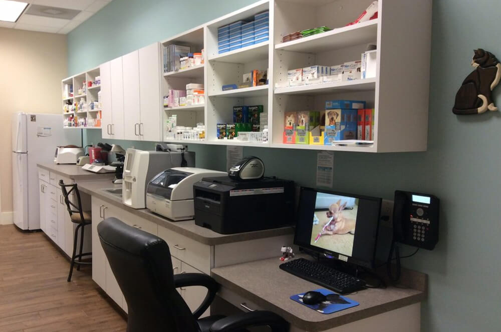 Tamberly Animal Hospital in Milton GA 5