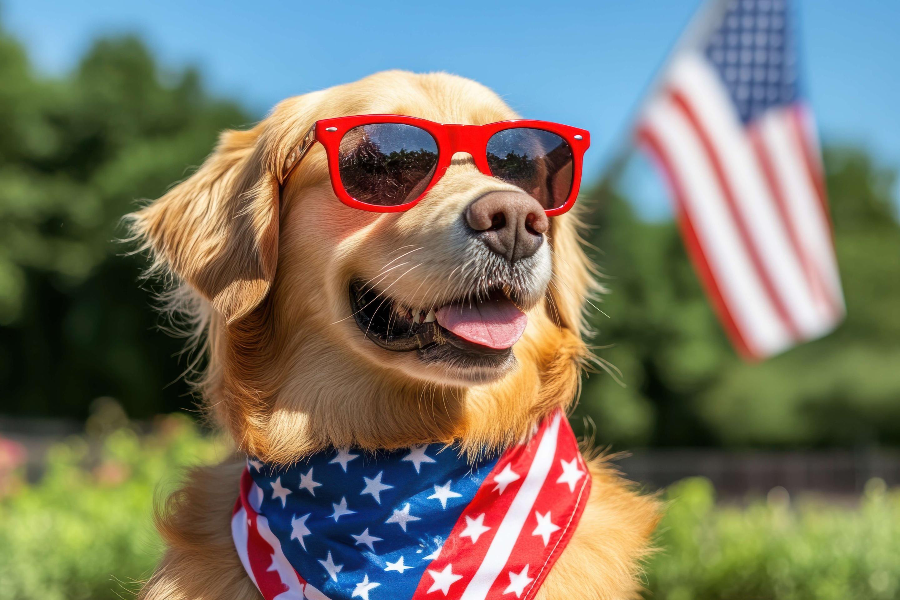Dog wearing patriotic bandana and glasses