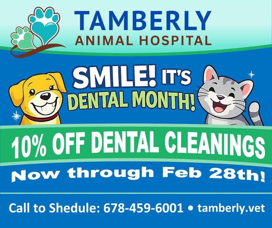 Tamberly Dental Promotion