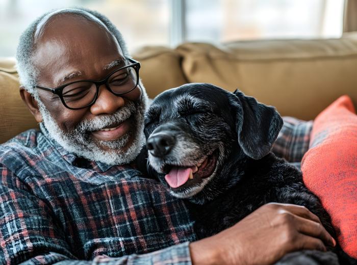 Understanding Arthritis in Dogs