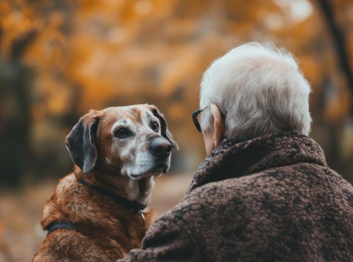 Helping Your Arthritic Dog at Home