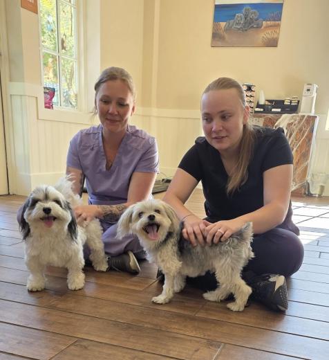 Active Lifestyle Support